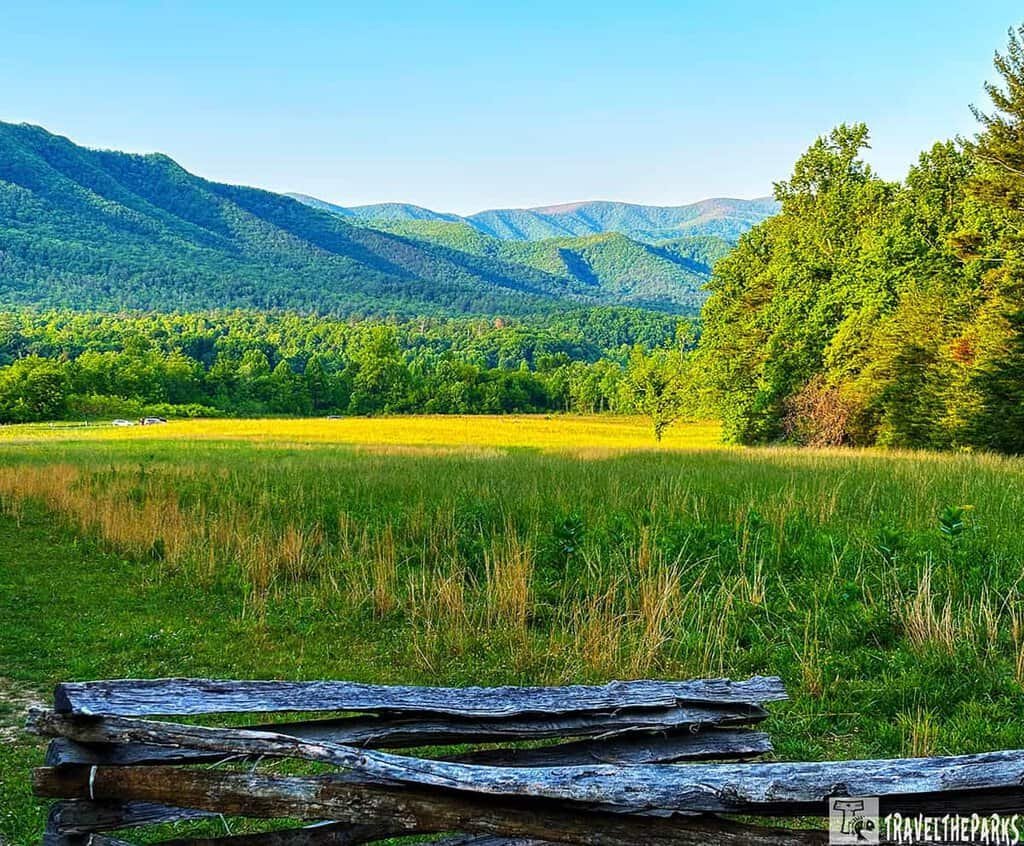 A scenic view of Cades Cove with a wooden fence, grassy meadow, dense trees, and distant mountains under a clear blue sky.