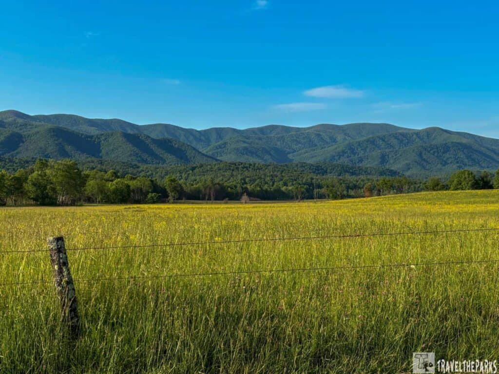 Scenic view of a Cades Cove meadow with trees and the Great Smoky Mountains in the background under a clear blue sky.