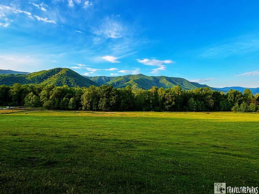 A green field with trees and forested hills under a blue sky with clouds.

