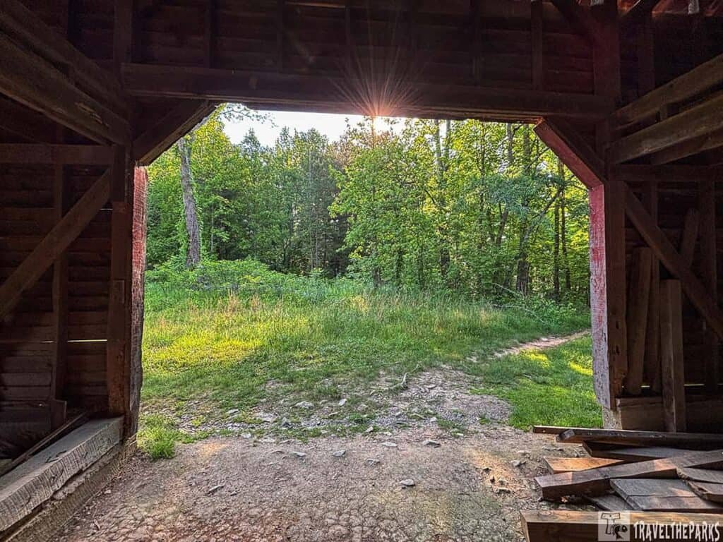 View from inside a barn looking out at a sunlit grassy area and trees.

