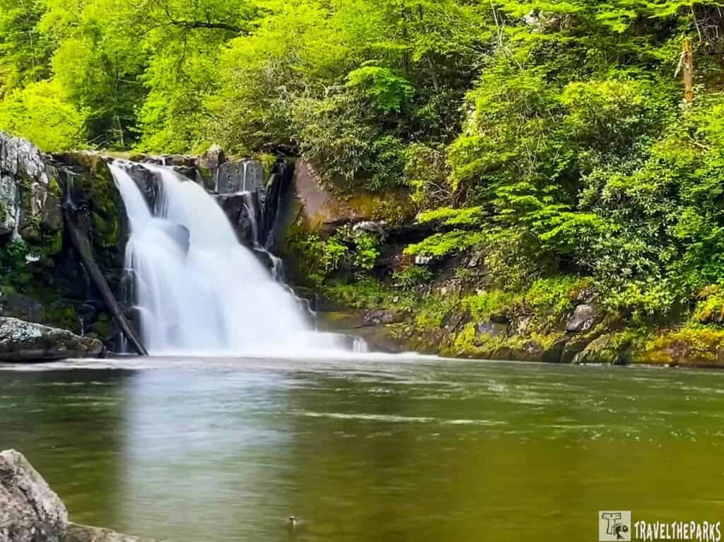 Abram Falls: Waterfall cascading over rocks into a pool with lush green foliage.