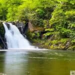 Abram Falls: Waterfall cascading over rocks into a pool with lush green foliage.