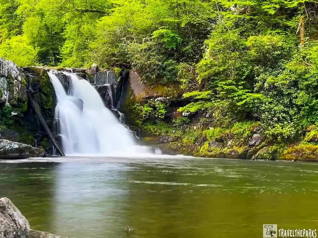 Abram Falls: Waterfall cascading over rocks into a pool with lush green foliage.