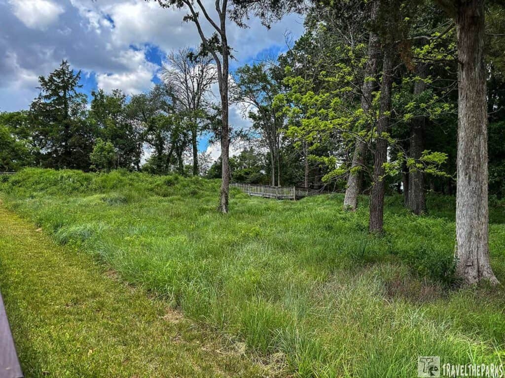 Stones River Boardwalk near Lunette Palmer. In the foreground, there is tall grass and patches of vibrant green vegetation, indicating a well-established natural area.