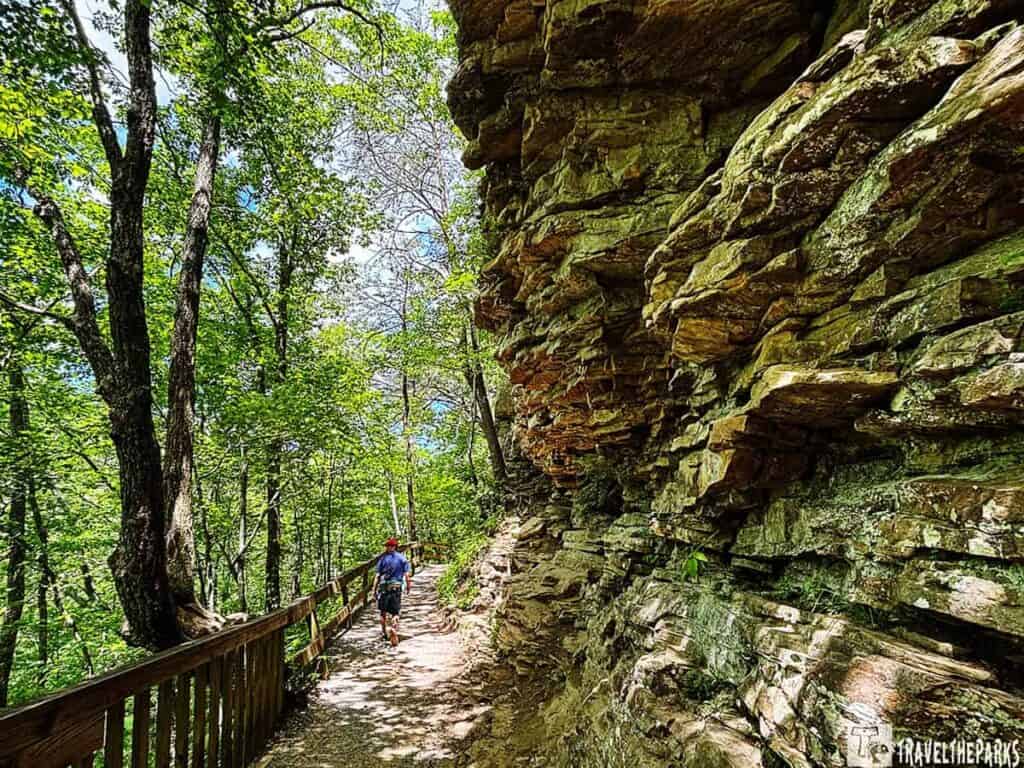 Hiking trail through a lush forest with a wooden railing on the left and a rocky cliff on the right at Cloudland Canyon State Park.