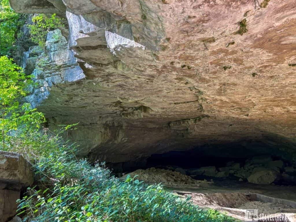 Entrance to a rocky cave surrounded by green plants, leading into a dark interior filled with boulders.