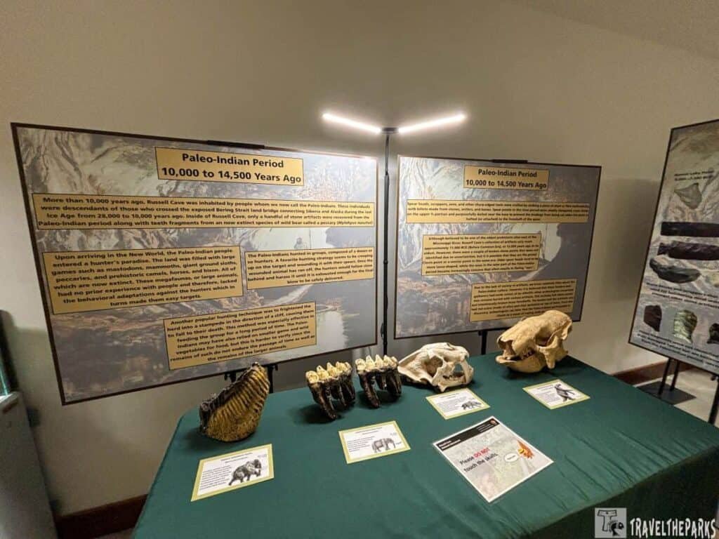 Exhibit at Russell Cave National Monument visitor center featuring informative panels about the Paleo-Indian Period, with fossil skulls on a green table and additional artifact displays.