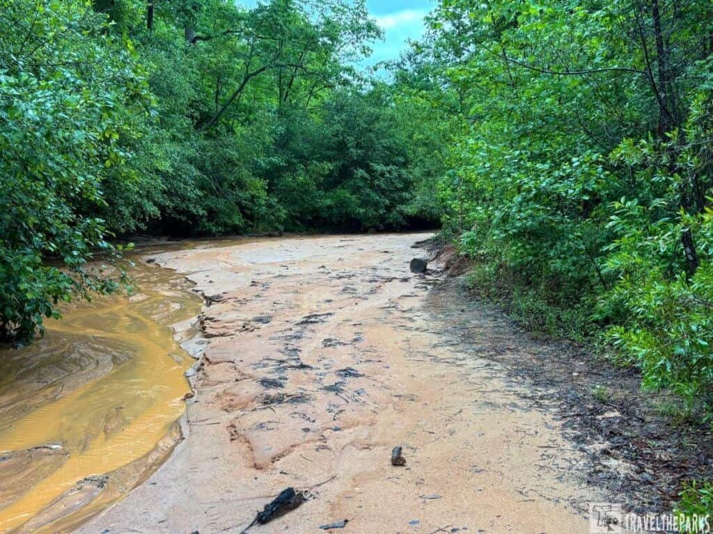 Muddy stream flowing through a green forested area.