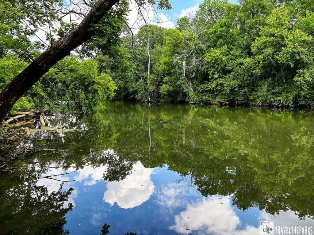 A tranquil scene of Stones River featuring calm, reflective water surrounded by lush green trees and a blue sky with white clouds.

