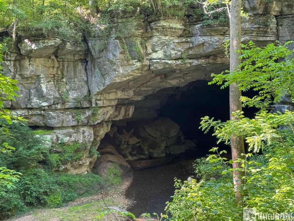 A natural cave entrance surrounded by greenery at Russell Cave National Monument, with a dark interior and a stream in front.