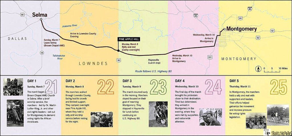 Map and timeline depicting the Selma to Montgomery march (March 7-11), showing route, daily events, and images of marchers.