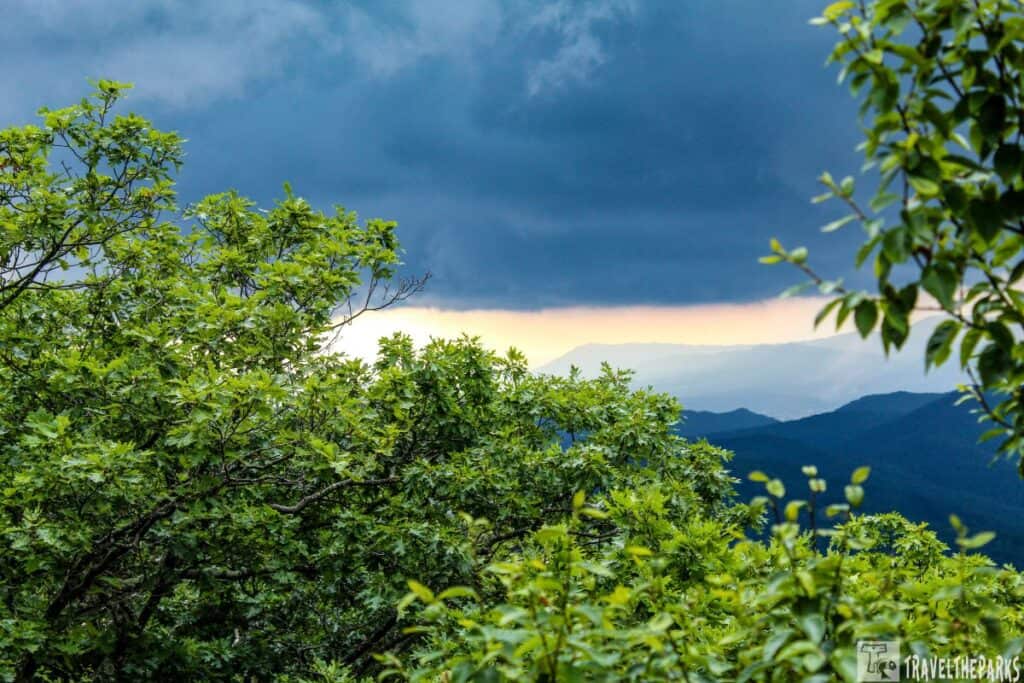 Shenandoah Storm over the Valley: Forest with green foliage under a cloudy sky and distant mountains.