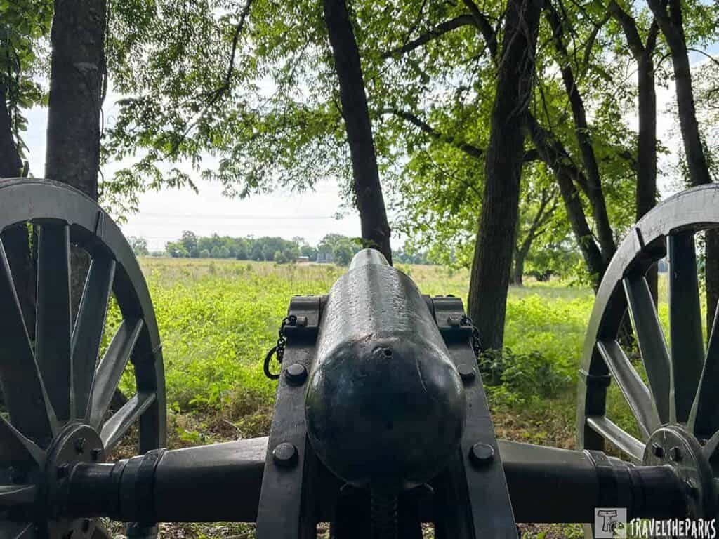 A close-up of a black artillery cannon surrounded by green trees, with a field and cloudy sky in the background.

