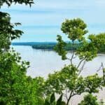 A scenic view from Trail of Tears State Park, featuring green foliage framing a tranquil river and distant hills under a blue sky.