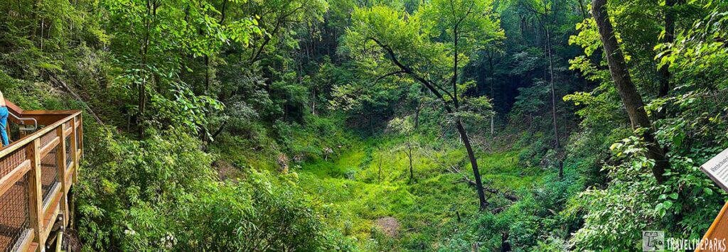 A wooden observation deck overlooks a lush, green sinkhole at Devil's Millhopper Geological State Park, surrounded by dense trees and underbrush.