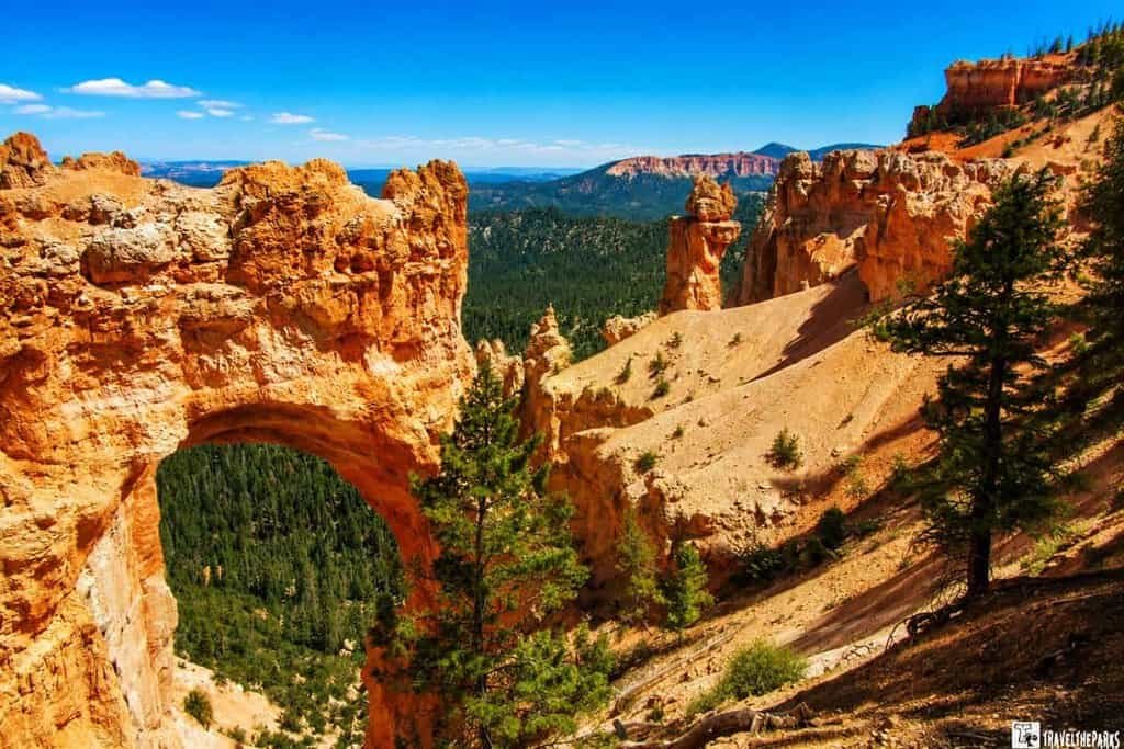 Natural Bridge in Bryce Canyon with rock formations and forested valley beneath a blue sky.