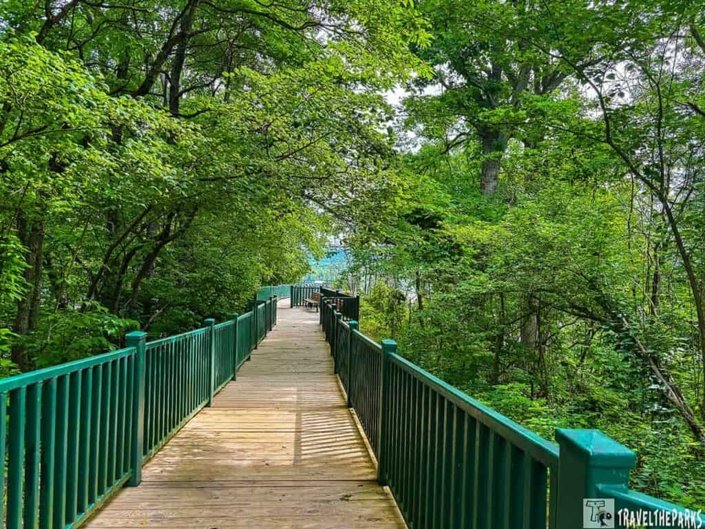 A wooden boardwalk trails through dense greenery in Trail of Tears State Park, with green railings and dappled sunlight on the surface, leading into a serene nature setting.