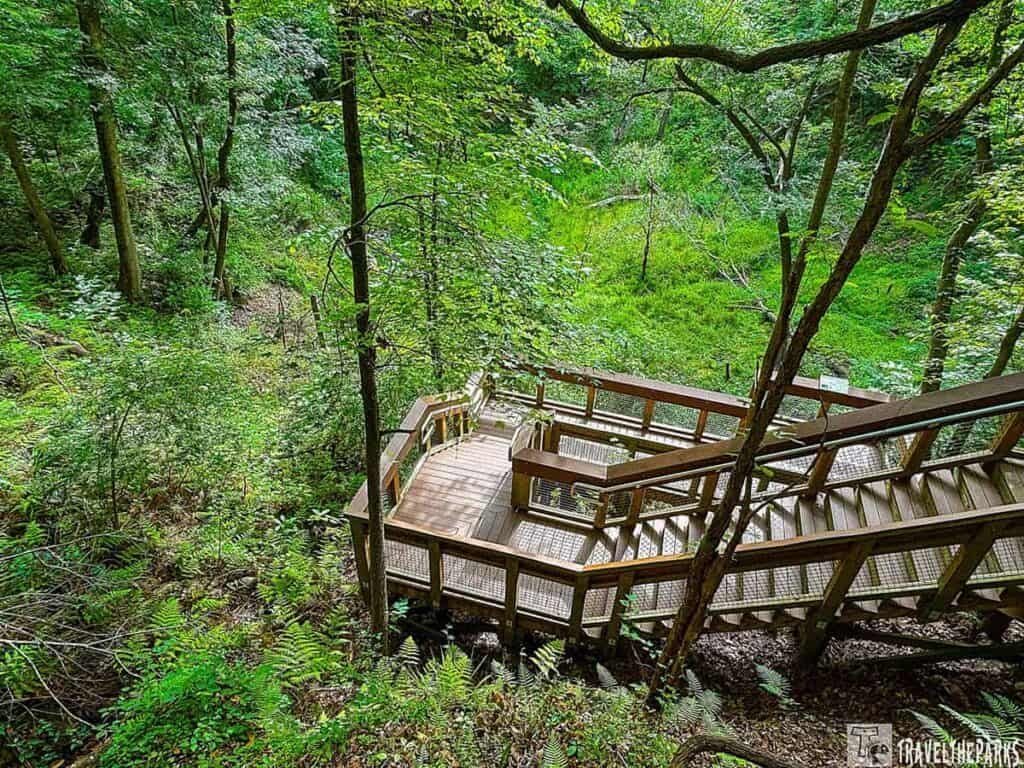 A winding wooden staircase leads down through lush greenery at Devil's Millhopper Geological State Park, surrounded by ferns and trees.