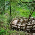 A winding wooden staircase leads down through lush greenery at Devil's Millhopper Geological State Park, surrounded by ferns and trees.