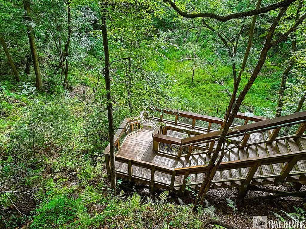 A winding wooden staircase leads down through lush greenery at Devil's Millhopper Geological State Park, surrounded by ferns and trees.