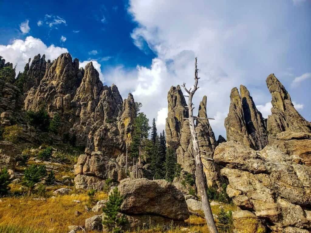 A dramatic landscape featuring jagged rock formations, a weathered tree, and sparse green foliage under a blue sky with clouds.

