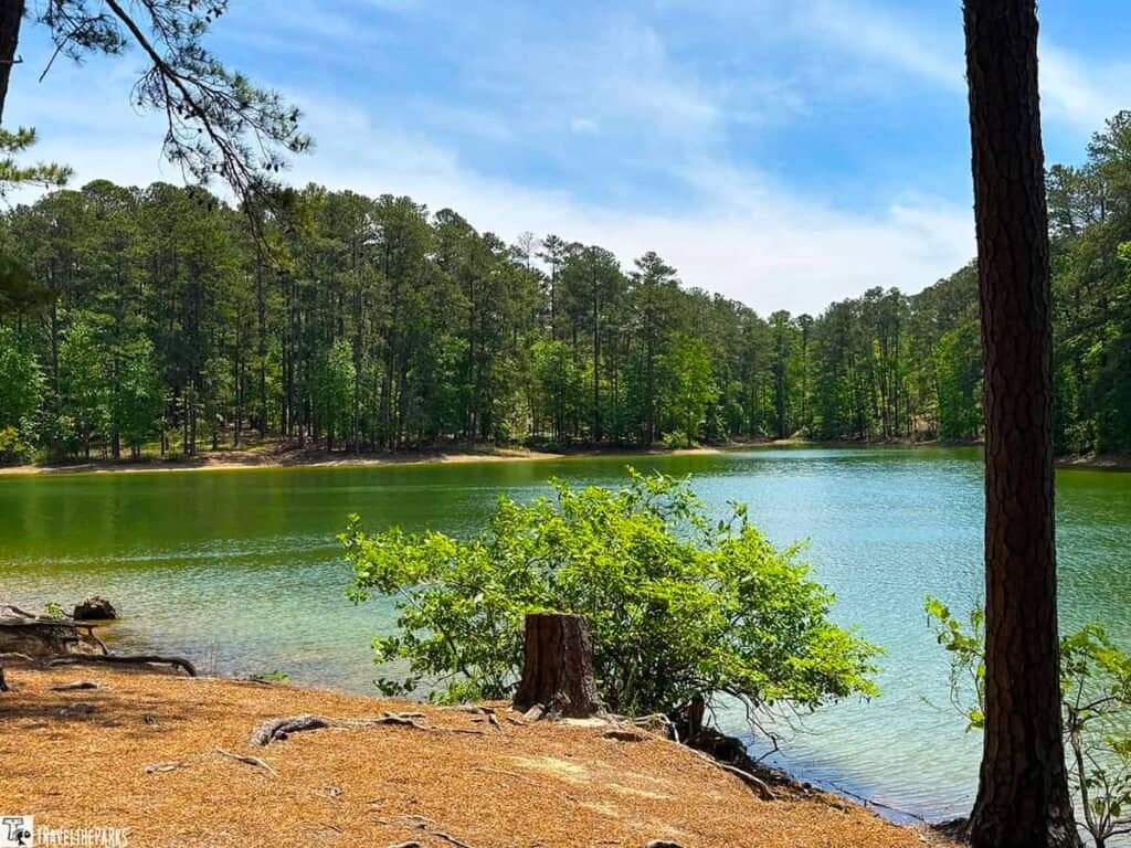 Lake Allatoona, surrounded by lush trees at Red Top Mountain State Park, with greenery in the foreground and a blue sky above.