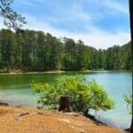 Lake Allatoona, surrounded by lush trees at Red Top Mountain State Park, with greenery in the foreground and a blue sky above.
