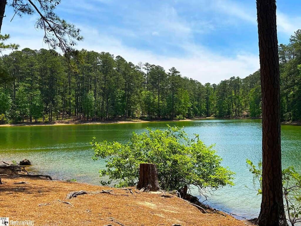 Lake Allatoona, surrounded by lush trees at Red Top Mountain State Park, with greenery in the foreground and a blue sky above.