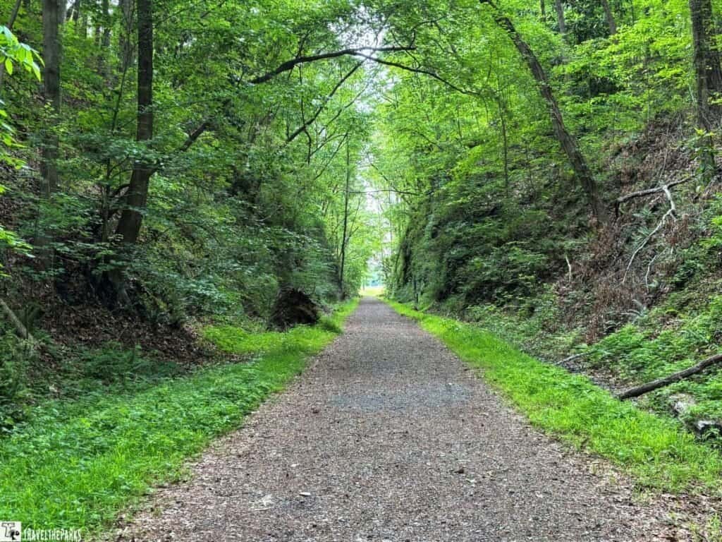 Gravel path flanked by lush green foliage and trees at the Railroad Cut in Allatoona Pass battlefield, leading to an open area in the distance.