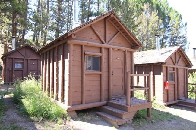 Roosevelt Lodge cabin stay review: Rustic wooden cabins sit among tall pine trees, with small porches and steps in bright sunlight, creating a peaceful woodland retreat.
