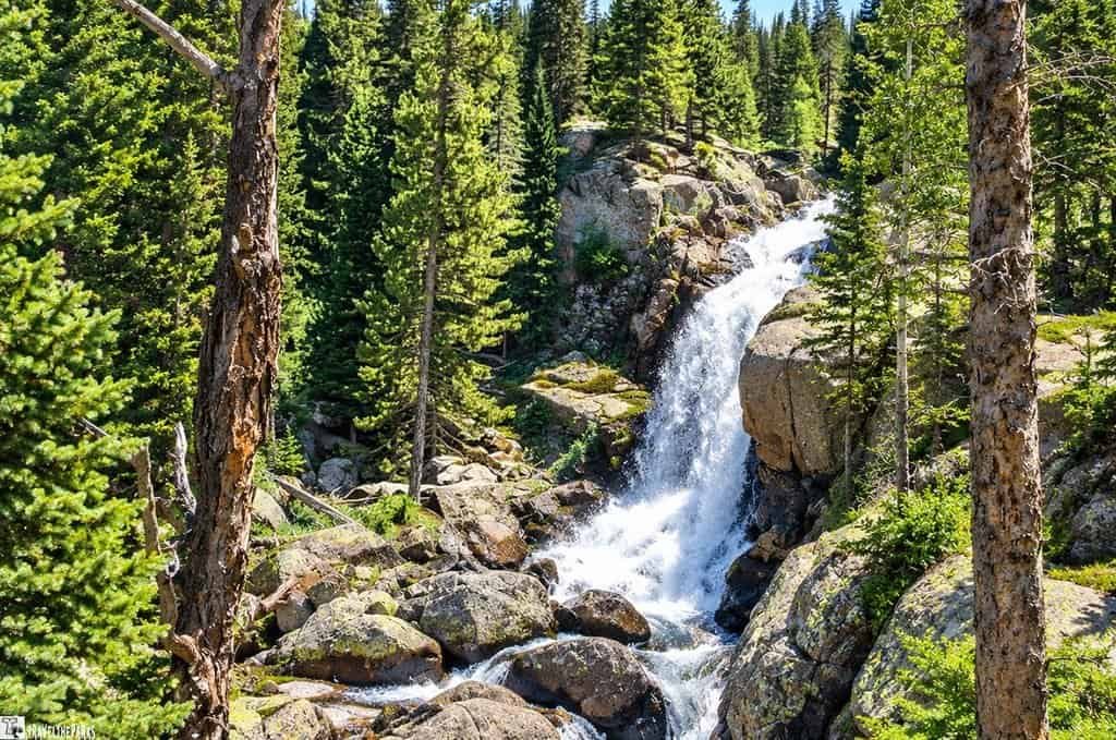 Alberta Falls cascading through granite boulders in Rocky Mountain National Park, surrounded by evergreen forest and mountain peaks under a clear blue sky