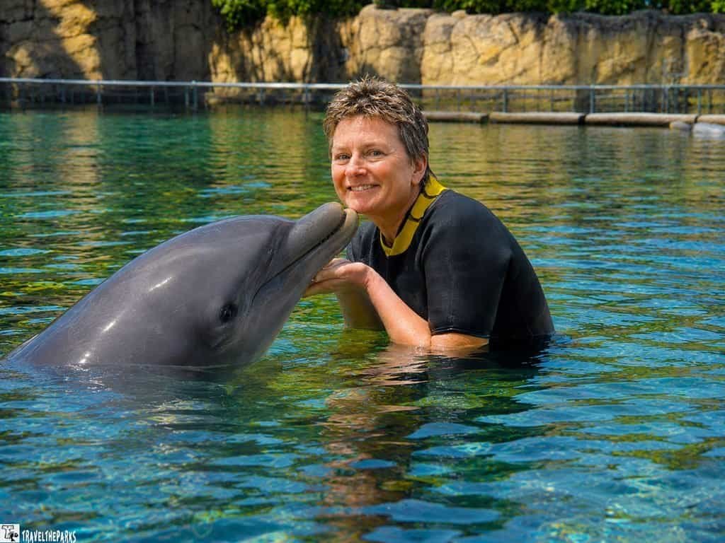 A person in a wetsuit stands in the water at Dolphins Plus Bayside, smiling while holding a dolphin that appears to be nuzzling their face. Rocky enclosure walls are visible in the background.
