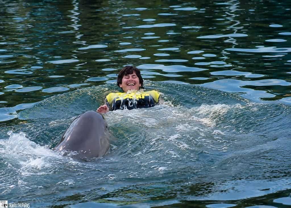 A person wearing a yellow life jacket is being pushed through the water by a dolphin at Dolphins Plus Bayside in an outdoor aquatic setting.