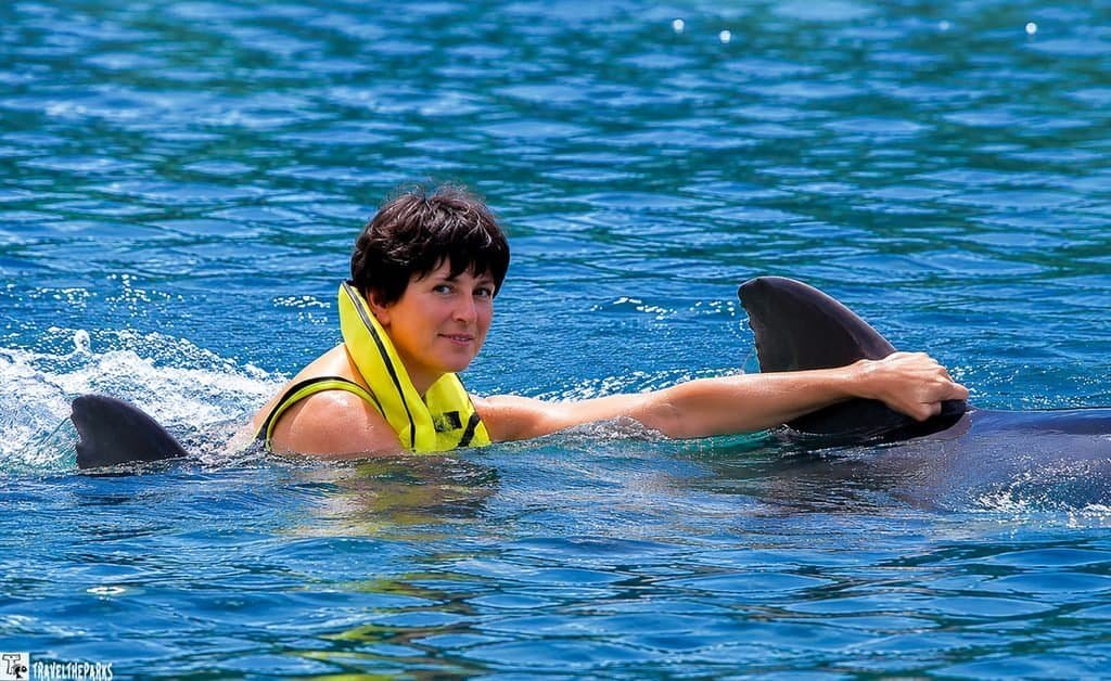 Person in a yellow life jacket holding onto a dolphin’s dorsal fin in bright blue water.


